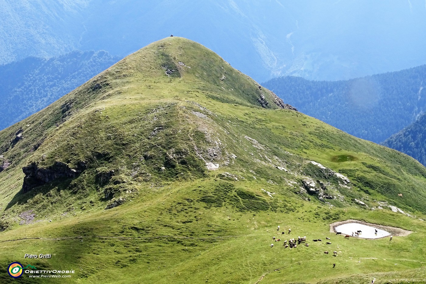 89 Il Monte Avaro visto dalla Bocchetta Triomen.JPG